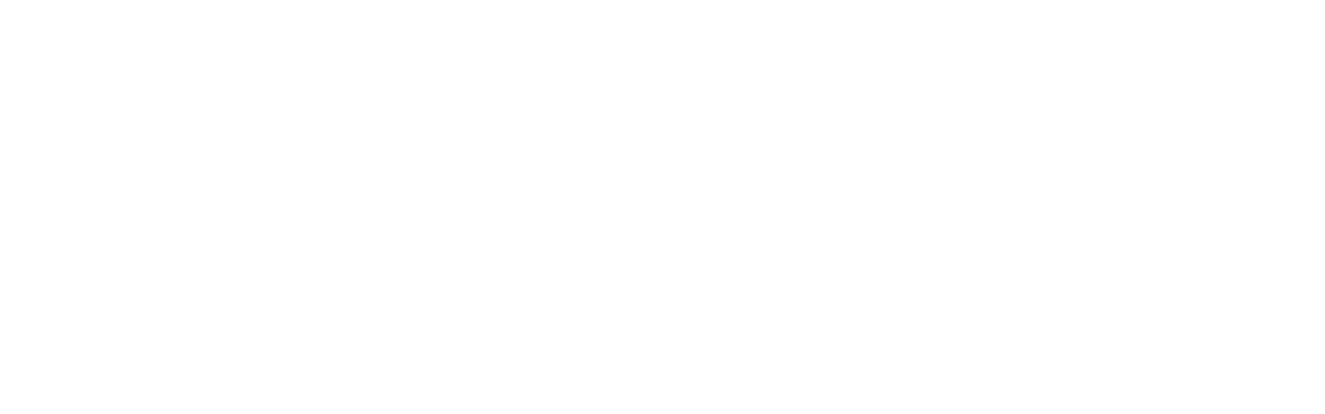 Website Innovator Logo